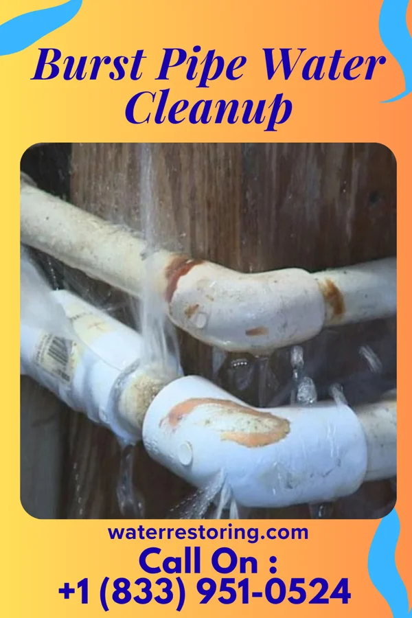 Burst Pipe Water Cleanup in Springfield, MO