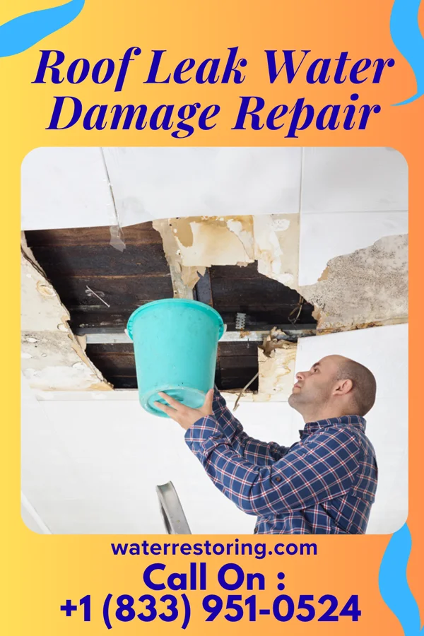 Roof Leak Water Damage Repair in Springfield, MO