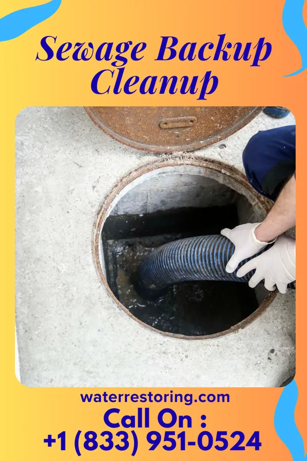 Sewage Backup Cleanup in Springfield, MO